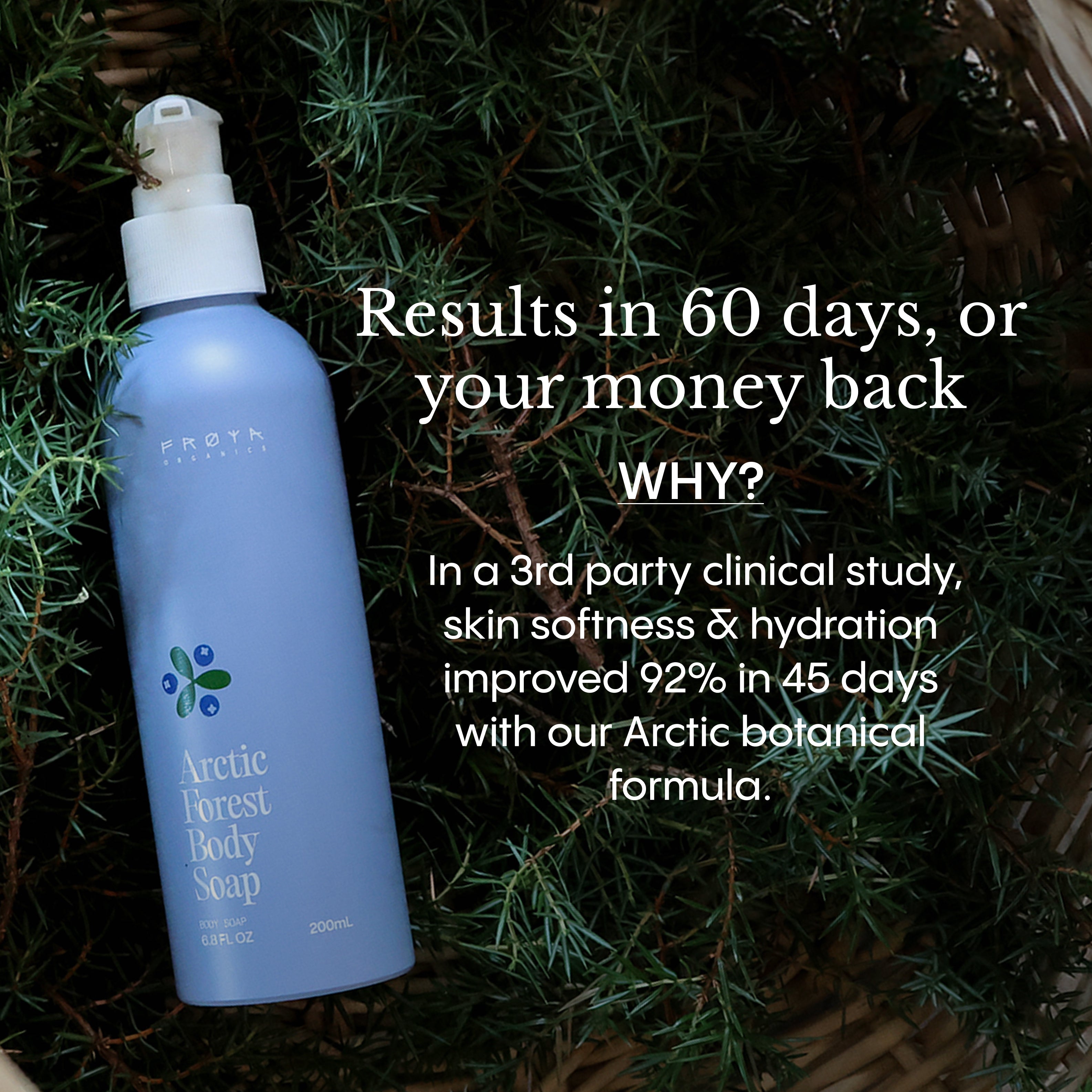 Arctic Forest Body Soap